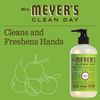 12.50 Oz Liquid Hand Soap in Apple