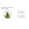 BiOrb 46140.0 Mushroom Trunk Ornament Aquariums