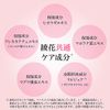 Bright Up Cream Foundation 12 Pink