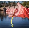 Berkley PowerBait Power Worms , Red Shad, 10" (8 Count)