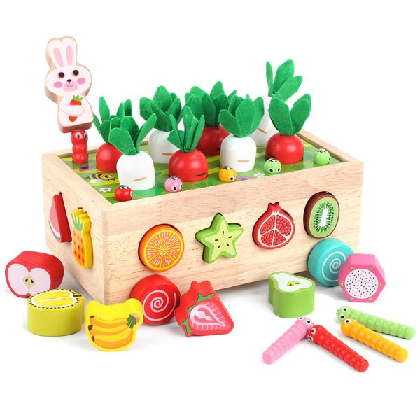 Toddlers Montessori Wooden Educational Toys for Boys Girls Age 2 3 4 Year Old, Preschool Learning Fine Motor Skills Game, Wood Shape Sorting Toys Birthday Gifts for Kids