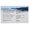 The Unscented Company Unscented Soap Bar, 4.2 OZ
