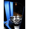InLine Fabrication Skylight LED Shellplate Lighting System for The Dillon 550 Press, 110v