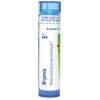 Boiron Bryonia 6C Homeopathic Medicine for Muscle & Joint Pain - 80 Pellets