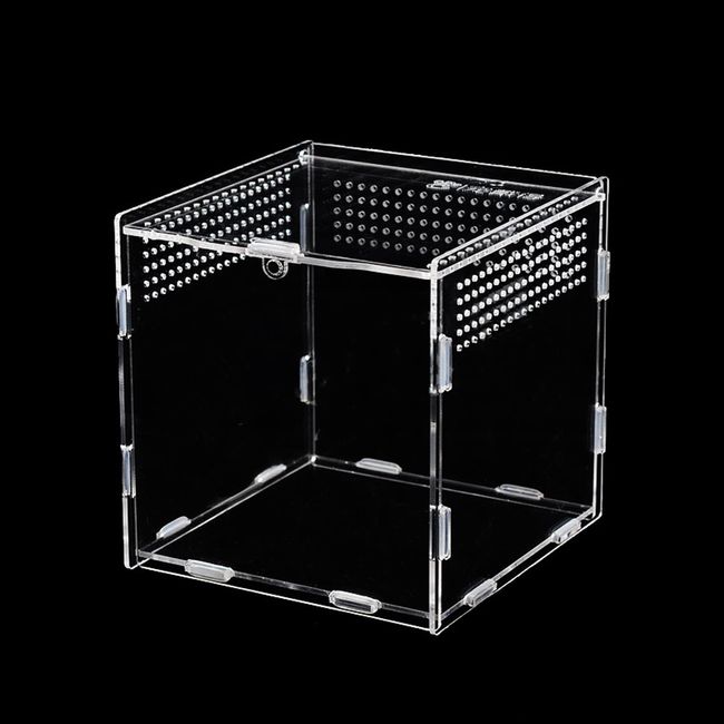 Reptile Fütterungsbox, Tragbares Reptil Fütterungsbox Insect Feeding Box Transparent Reptil Zuchtfall Mit Luftlöcher für Spide, Eidechse, Skorpion, Tausendfüßler, Gehörnter Frosch 9x9x9.5cm