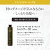 Abrise CR Series Shampoo for Beauty Salons, Extra Damage Care, 8.2 fl oz (260 ml)