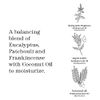 THISWORKS In The Zone Shower Gel: Re-focus the Mind with Eucalyptus, Patchouli & Frankincense, 10.1 Ounce