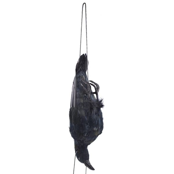 Etistta 17 inch Realistic Hanging Dead Crows Decoy Lifesize Extra Large Black...
