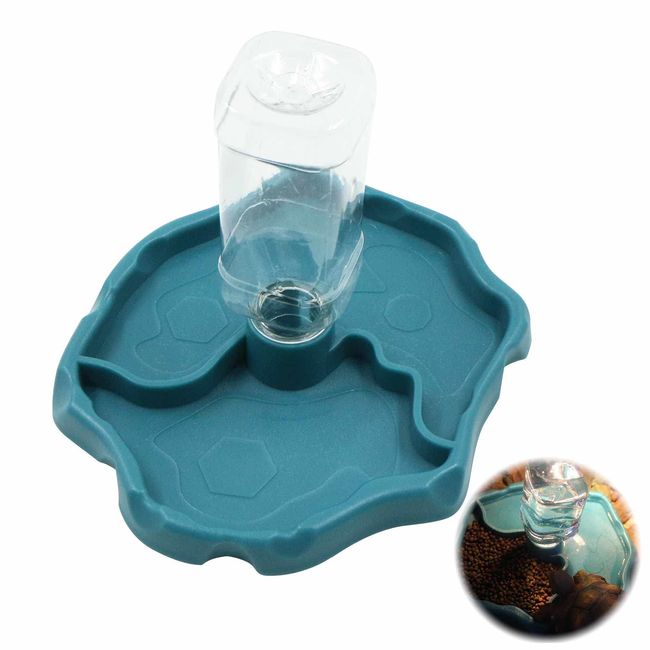 gexuamz Schildkröten Wassernapf Reptile Water Dispenser - Futternapf Automatische Nachfüllung Wasserspender Schildkröte Eidechse Schildkröte Wassertasse mit Flasche（1 Stück）