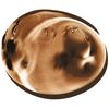 L'Oreal Paris Feria Multi-Faceted Shimmering Color, 40 Espresso