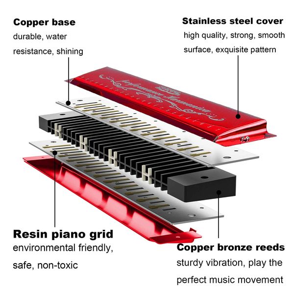 Mundharmonika Professionelle C-Dur Blues Harmonica Diatonische 24-Loch mit Fall für Blues Folk Jazz Pop für Erwachsene Kind Kinder Student Anfänger Geschenk Rot