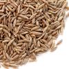 Cumin Seeds - 16 oz.