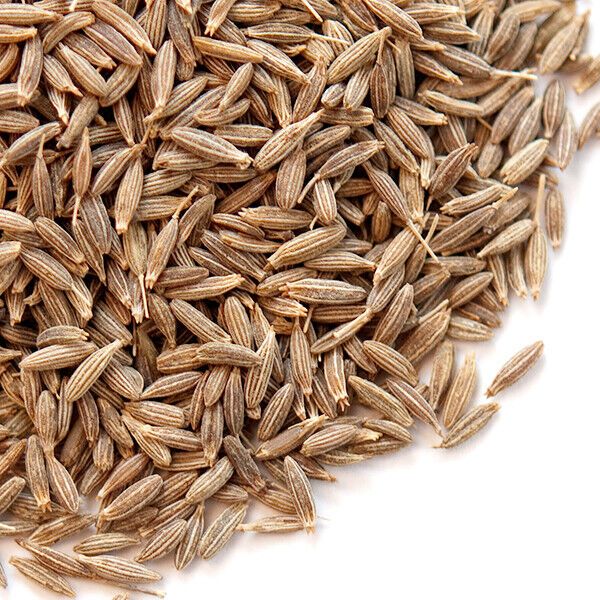 Cumin Seeds - 16 oz.