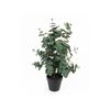 Present Time [DL] Artificial Plant Eucalyptus Leaf