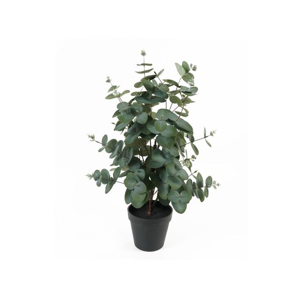 Present Time [DL] Artificial Plant Eucalyptus Leaf