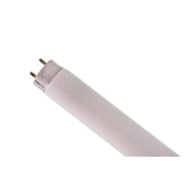 Replacement for Light Sources F15T8/AQA/BP Light Bulb by Technical Precision