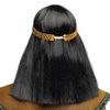 Boland 85798 Cleopatra Wig, Black, One Size