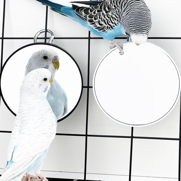 FlidRunest Bird Mirror Toy for Cage, 10X Bird Parrot Interactive Playing Cage Toy with Hook, Parrot Toy Bird Cage Mirror for Cockatiel, Parakeets, Lovebirds, Finch, Canaries, Budgie -2PCS