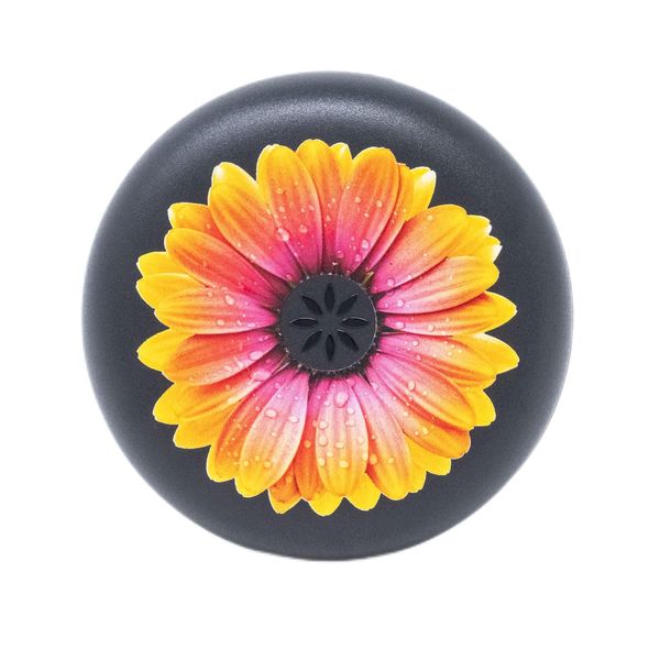 Invisaline Aligner Case (Orange Daisy)