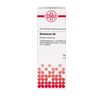Belladonna D6 DHU Dilution, 20 ml Lösung