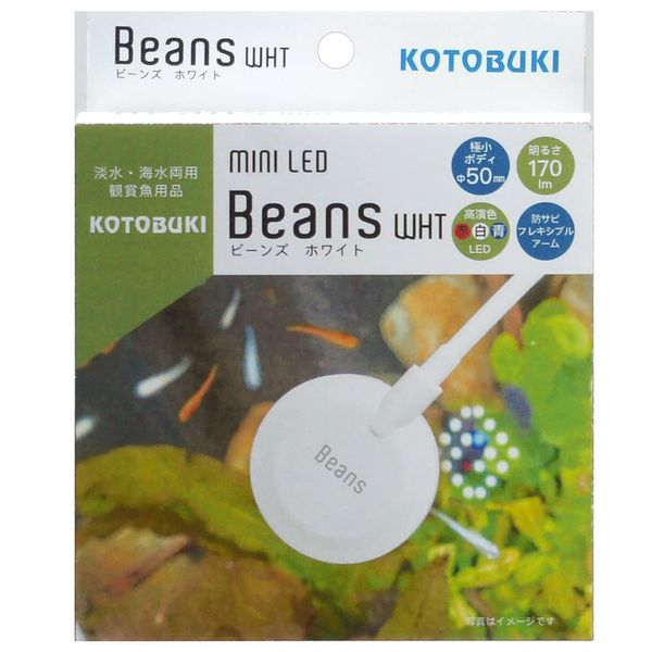 Kotobuki Kotobuki Mini LED Beans, White