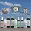 Silver Shield Deodorant - Sensitive Skin Formula - Floral Scent | All Natural Colloidal Silver Deodorant (2X Refill, 4 oz.)