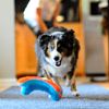 Chuckit! Indoor Squirrel by Chuck It
