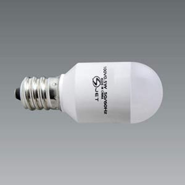 ENDO LEDZ LAMP Night Light Bulb 2800K E12 Base 7lm RAD543L