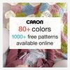 CARON SIMPLY SOFT BRITES- 170G- GRAPE
