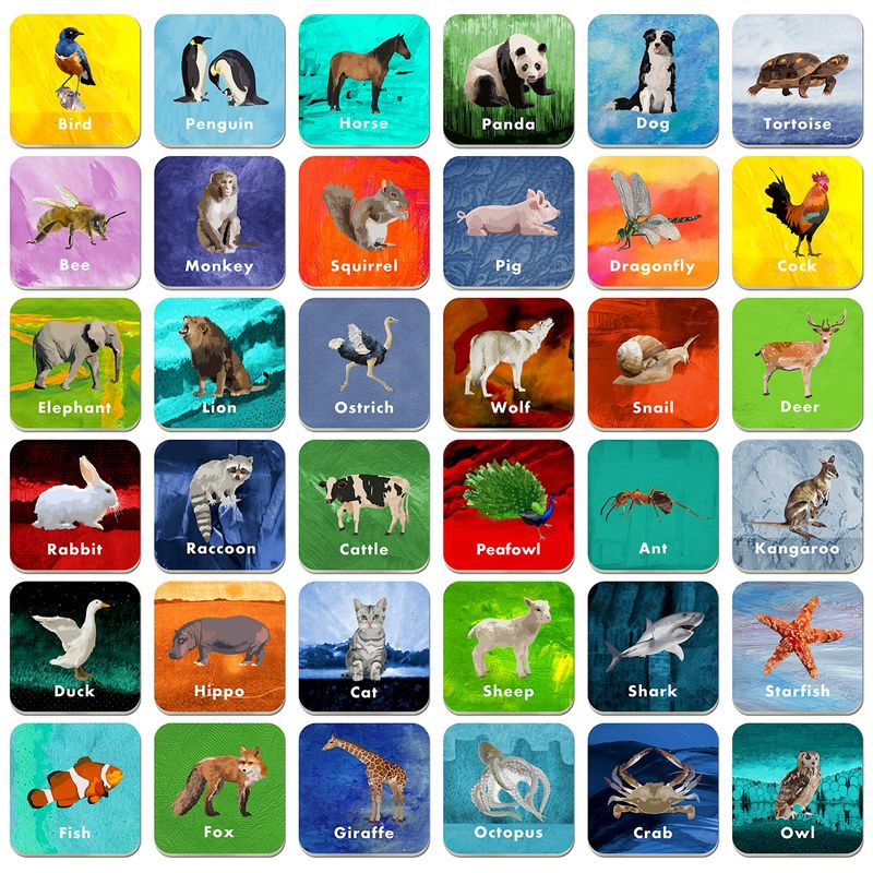 36 Pair Animal Matching Game Flash Cards Erasable (Each Measures 2” X 2