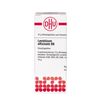 Levisticum officinalis D6 DHU Globuli, 10 g Globuli