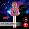 Gigastone Bluetooth V5.0 Karaoke Microphone Wireless Portable Handheld Speaker