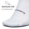 Feetures Unisex High Performance Cushion Quarter Sock (Medium, White)