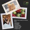 Photographer's Edge, Photo Insert Card, 10 Blank Cards and Envelopes, All Occasion Cards, for 4x6 Photos - Raven Black