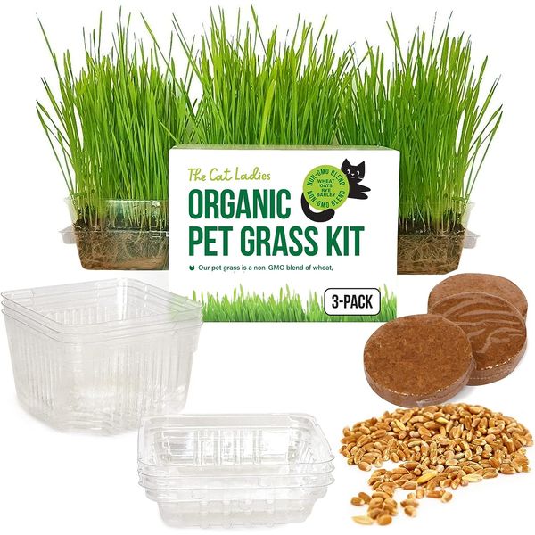 Cat Grass Growing Kit Organic Seed Soil 3 Pack BPA Free Non-GMO Locally Sourced