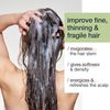 Milk Shake Energizing Blend Shampoo, Pack of 1