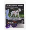 LupinePet Basics 3/4" Purple 16-26" No Pull Harness for Small-Medium Dogs