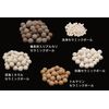 BIO CERA Binchotan Washing Ball