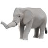 Ania Ag-01 Savannah Popular Animal Set