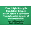 Dandelion Root Extract Capsules 500 mg 120 Capsules