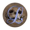 L Blue Skull Skeleton Dead Horror Initial Monogram Letter PopSockets Swappable PopGrip