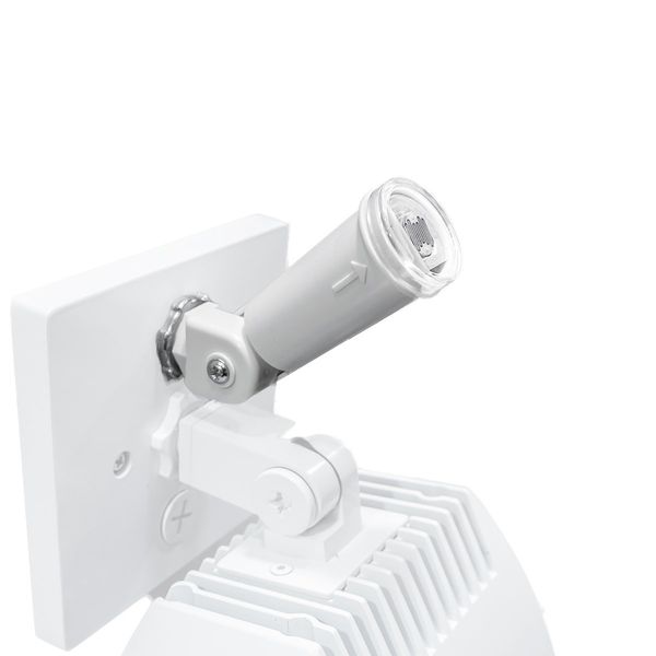 WAC Lighting, Endurance Photo Sensor in White