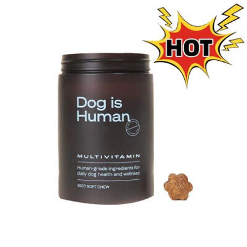 Dog Is Human Daily Multivitamin Dog=Health & Wellness Beef Flavor 60 Count-