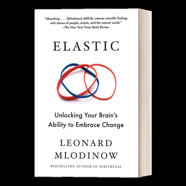 Elastic Flexible Thinking in a Time of Change 英文原版 弹性 在极速变化的世界中灵活思考 时机管理 英文版 进口英语原版书