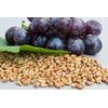 Antioxidant chews - GRAPE SEED EXTRACT - RESVERATROL COMBO - grape seed vitamin 
