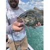 Great Lakes Finesse Drop Worm - Clear Shad - 4"