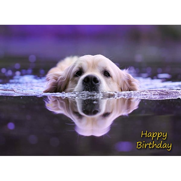 Golden Retriever Dog Birthday Card
