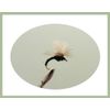 Grayling Flies, 36 Boxed set, various design & size, suitable for grayling NBX77