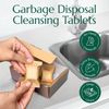 CLEANOMIC Garbage Disposal Tablets and Tablet Tin Bundle (2 Pack)