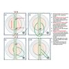 Portable Compact Dryer Blower Fan Belt for Panda PAN40SF/60SF Sonya SYD-40E/60E